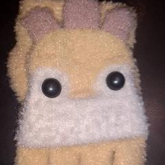 Handschoen, zoals gemeld door TivoliVredenburg met iLost