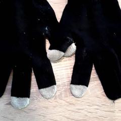 Guantes, ha sido reportado por EBS Tramplein con iLost