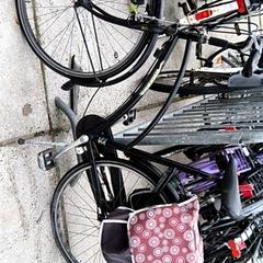 Bicicleta de senhora gazelle, como reportado por Stadswerk072 utilizando o iLost