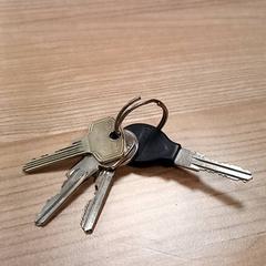 Brelok do kluczy, zgłoszono przez RRReis Veluwe Zuid - Ede przy użyciu iLost