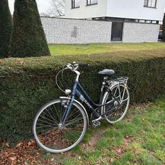 Bicicleta de mujer Giant blauw, ha sido reportado por Stad Peer con iLost