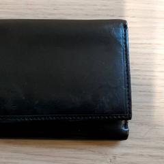 Portemonnee - Dandelot, zoals gemeld door Regio Limburg - Leuven met iLost