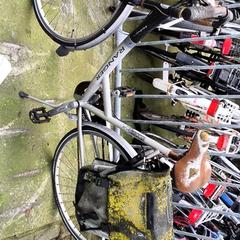 Emakumeen bizikleta Ranger, gisa salatu by Stadswerk072 iLost erabiliz