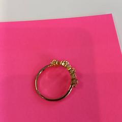 Squillo Goudkleurige ring, come riportato da Arriva Limburg Zuid utilizzando iLost