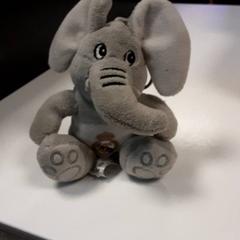 키체인, iLost를 사용하여 Diergaarde Blijdorp에 보고됨