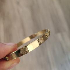 Houden Slavenarmband met rozen, segons s'ha informat a iLost