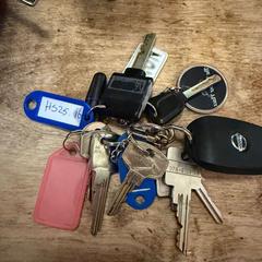 Sleutelbos an iLost gemeldet