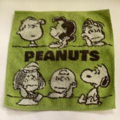 Pano, segundo informou IKEA鶴浜 usando iLost