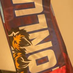 ショール がiLostで Pathé Schiedam によって報告されました