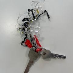 İLost kullanarak Gemeente Ede tarafından bildirildiği gibi Anahtarlar