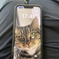 iPhone and cards belonging to N. Kroon, segundo informou a iLost