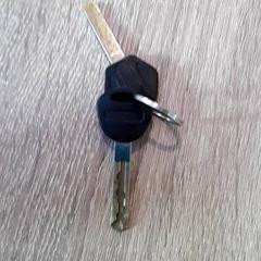 Clau, segons ha informat EBS Tramplein mitjançant iLost