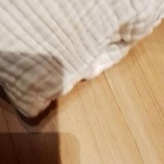 Coixí, segons ha informat Beekse Bergen Resorts en Hotel mitjançant iLost