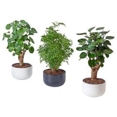IKEA product, as reported by IKEA Grenoble using iLost