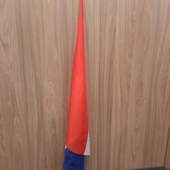 Vlag, amint azt Rotterdam The Hague Airport az iLost segítségével jelentette.