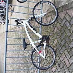 Bicycle Wit, as reported by Stadswerk072 using iLost