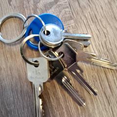 Nyckelring met sleutelhanger, rapporterat av RRReis IJssel-Vecht Lelystad med iLost