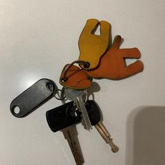 Sleutelbos, ako bolo nahlásené iLost