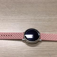 Horloge, a été signalé par Gemeente Arnhem utilisant iLost