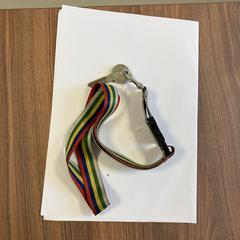 Sleutel met gekleurd keycord, som rapporterats till iLost