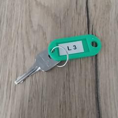 Nøkkel groen, som rapportert av Arriva Limburg Zuid ved bruk av iLost