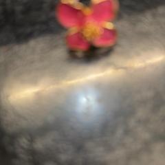 Anells, segons ha informat Rotterdam The Hague Airport mitjançant iLost