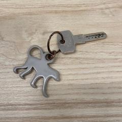 المفاتيح (متنوعة)، كما تم الإبلاغ عنه بواسطة IKEA Liège عبر iLost