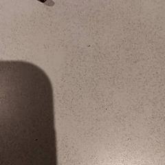 Zonnebril, zoals gemeld door De Efteling met iLost