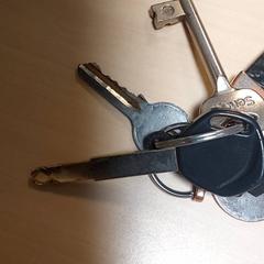 Chiavi, come riportato da Centraal magazijn utilizzando iLost