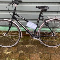 Bicicleta Batavus, ha sido reportado por Gemeente Oirschot con iLost