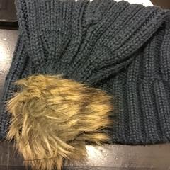 Beanie, as reported by U-OV Utrecht using iLost