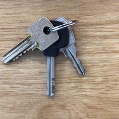 İLost kullanarak Gemeente Alkmaar tarafından bildirildiği gibi Anahtar