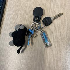 Kľúče, ako bolo nahlásené Gemeente Arnhem pomocou iLost