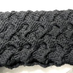 Sjal Greis, rapporterat av Arriva Friesland / Groningen med iLost