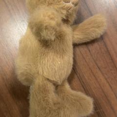 Knuffel, zoals gemeld door Pathé Zaandam met iLost