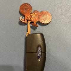 Autosleutel Ford, gerapporteerd met iLost