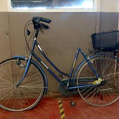 Fiets Raleigh Blauw, zoals gemeld door Fietsdepot Hasselt met iLost