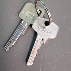 Nøkler, som rapportert av Diergaarde Blijdorp ved bruk av iLost