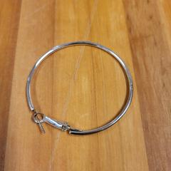 Orecchino, come riportato da Bolognalaan 101 utilizzando iLost