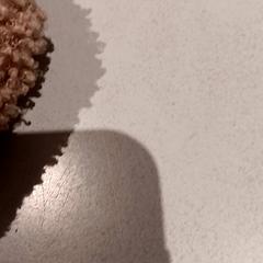 İLost kullanarak De Efteling tarafından bildirildiği gibi Çanta