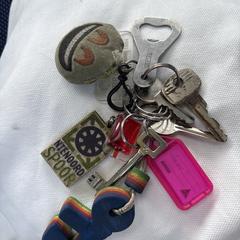 Sleutelbos, come riportato a iLost