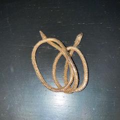 Gürtel, Gürtel & Schmuck Goude riem, gemeldet von Van der Valk Hotel Amsterdam-Amstel über iLost