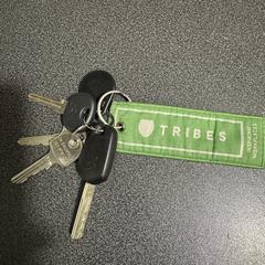 Car keys and key fob, ako bolo nahlásené iLost