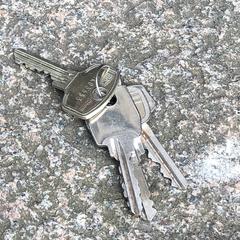 Sleutelbosje, come riportato a iLost