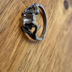 반지, iLost를 사용하여 Universiteitsbibliotheek Universiteitskwartier에 보고됨