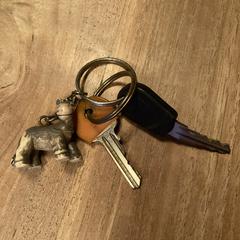 Sleutels met ezel, as reported to iLost