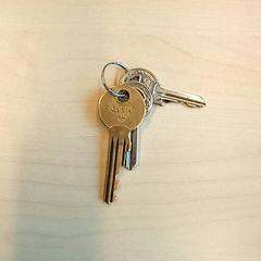 Chaves, como reportado por Arriva Den-Bosch utilizando o iLost