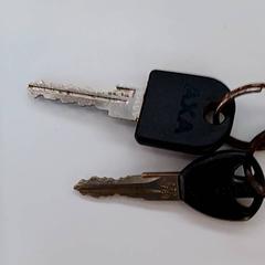 Claus de bicicleta, segons ha informat Syntus Provincie Utrecht mitjançant iLost