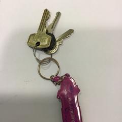 Sleutel، كما تم الإبلاغ عنه بواسطة Qbuzz U-OV عبر iLost