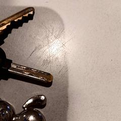 Sleutels, iLost를 사용하여 De Efteling에 보고됨